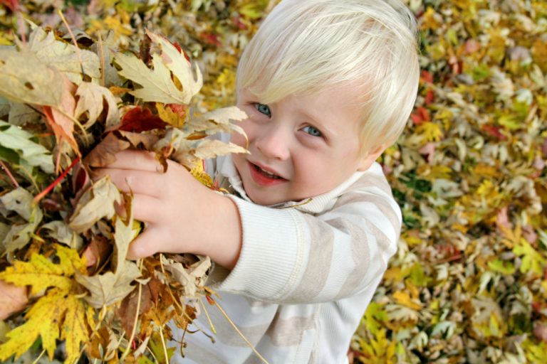 Kleine blonden jongen met een stapel herfstbladeren in de hand